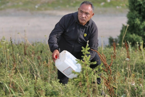 Суусамыр-Токой: Зелёные ворота Таласа.