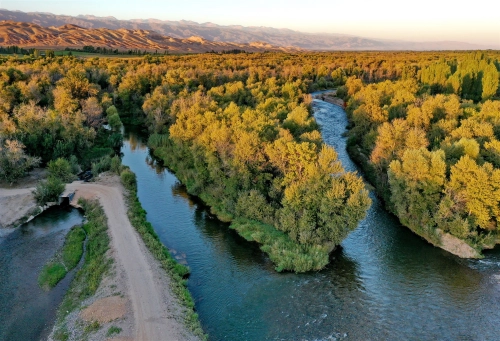 Талас -река по которой течёт время