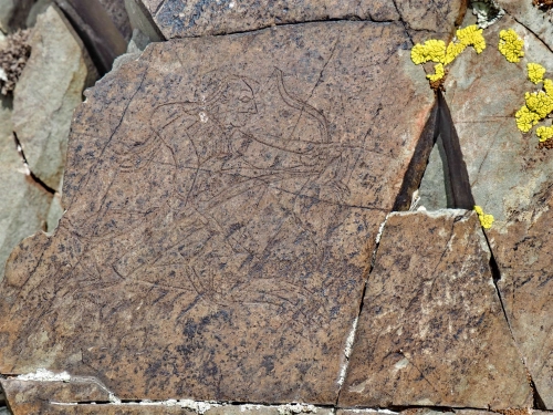 Петроглифы Бакайыр - Кара-Кууш: туры и затерянная галерея древних художников