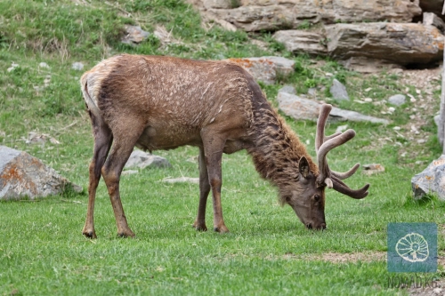 В глубине Таласского хребта: природный парк Беш-Таш