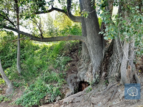 Там, где рождаются родники: тайны мазара Боо-Терек