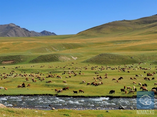 Там, где рождается ветер: перевал Өтмөк